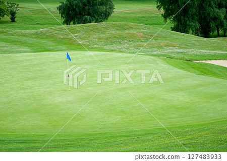 Smooth grassy area of a golf course, trees in the background Smooth grassy area of a golf course, trees in the background 127483933