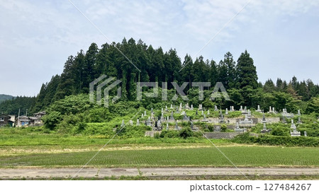 Niigata Rural Scenery June 2025 [Sakai, Tainai City, Niigata Prefecture] 127484267