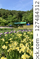 Shibata City Iris Garden [Photo taken on June 19, 2025] 127484312