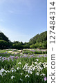 Shibata City Iris Garden [Photo taken on June 19, 2025] 127484314