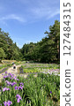 Shibata City Iris Garden [Photo taken on June 19, 2025] 127484315