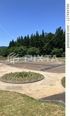 Tainai Flower Park, Tainai City, Niigata Prefecture [Photo taken in June 2025] 127484390