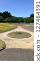 Tainai Flower Park, Tainai City, Niigata Prefecture [Photo taken in June 2025] 127484391