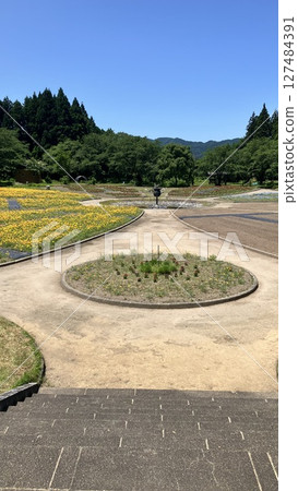Tainai Flower Park, Tainai City, Niigata Prefecture [Photo taken in June 2025] 127484391