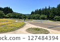 Tainai Flower Park, Tainai City, Niigata Prefecture [Photo taken in June 2025] 127484394