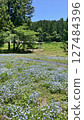 Tainai Flower Park, Tainai City, Niigata Prefecture [Photo taken in June 2025] 127484396