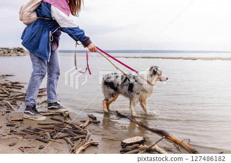 Woman walks with blue merle Australian shepherd dog on a beach sea Woman walks with blue merle Australian shepherd dog on a beach sea 127486182