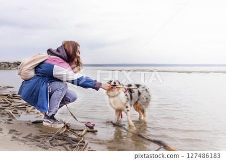 Woman plays stick with blue merle Australian shepherd dog on a beach sea nature photo copy space 127486183