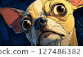 Chihuahua gazing scared with big expressive eyes expressing fear. 127486382