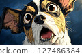 Chihuahua dog with expressive features gazing scared at viewer with open mouth 127486384