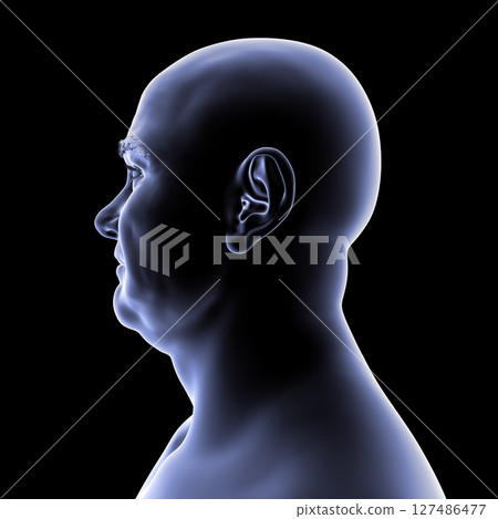 Man's head and neck in silhouette, side view, 3D illustration showing anatomical outline and structural features on a black background. Man's head and neck in silhouette, side view, 3D illustration showing anatomical outline and structural features on a black background. 127486477