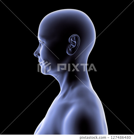 Woman's head and neck in silhouette, side view, 3D illustration showing anatomical contours and profile structure on black background. 127486480