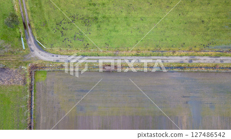 A breathtaking aerial view showcasing lush green fields paired with a beautifully winding road 127486542