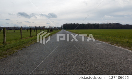 A tranquil, picturesque country road winds its way through lush green fields under a cloudy sky 127486635