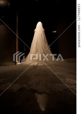 An Elegant Bride in a Dimly Lit Corridor, Captivating with a Flowing Veil and Grace 127486653