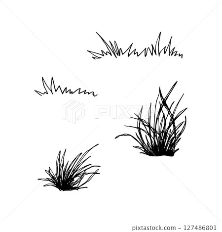 A set of tufts of grass in different shapes and sizes. Black and white graphic vector illustration. Isolated on white. Natural elements perfect for landscape and nature themed designs. 127486801