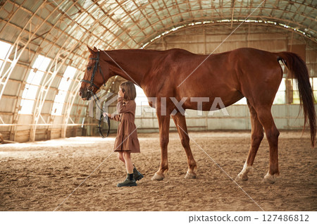 Big area. Cute little girl is with horse indoors Big area. Cute little girl is with horse indoors 127486812