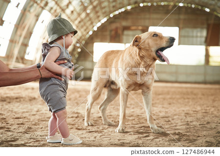 Little boy is standing near funny dog indoors. Woman hands is holding son 127486944