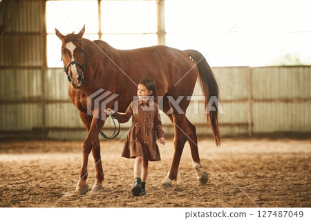 Holding animal, walking together. Cute little girl is with horse indoors Holding animal, walking together. Cute little girl is with horse indoors 127487049
