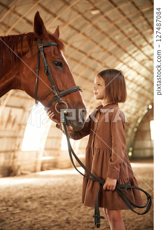 Touching the head of animal. Cute little girl is with horse indoors 127487084