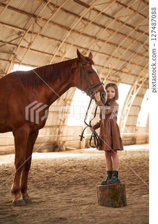 Stands on a stump. Cute little girl is with horse indoors 127487088