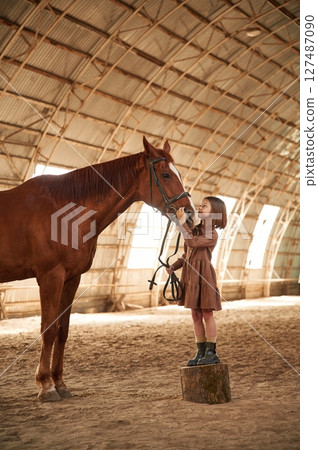 Standing, side view, taking care of animal. Cute little girl is with horse indoors Standing, side view, taking care of animal. Cute little girl is with horse indoors 127487090