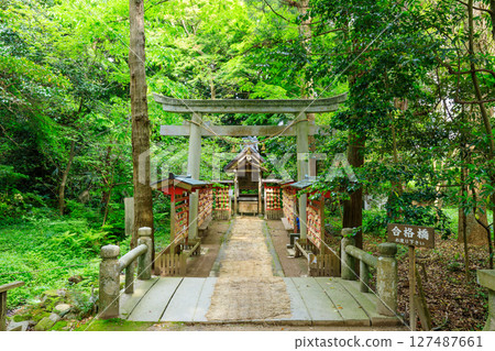 石川縣羽咋市能登國一宮、氣太大社、菅原神社的初夏 127487661
