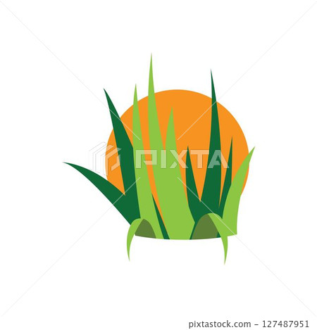 Grass logo vector template 127487951
