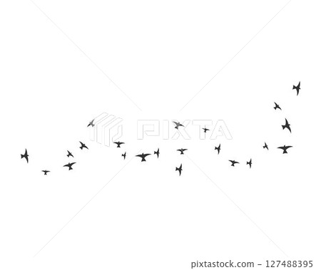 Bird Logo Template Bird Logo Template 127488395