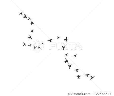 Bird Logo Template 127488397