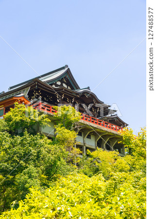 [Nara Prefecture] Shigisan Chogosonshiji Temple (photographed on June 18, 2025) 127488577