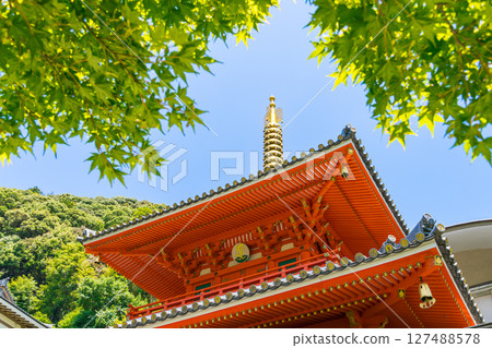 【奈良縣】信貴山朝護孫子寺（2025年6月18日拍攝） 127488578