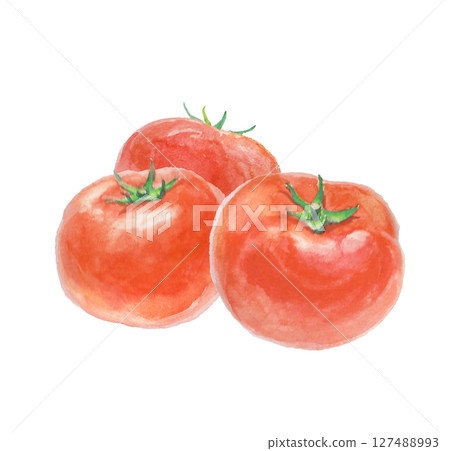 Tomatoes painted with watercolors 127488993