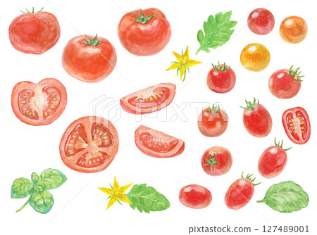 Tomato set painted with watercolors Tomato set painted with watercolors 127489001