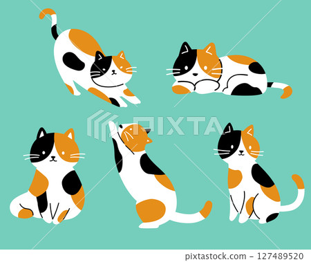 各種姿勢的花斑貓簡單可愛的插圖集 127489520