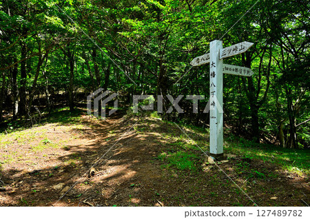 禦坂山的夏天：清八山的大畑八丁峠 127489782