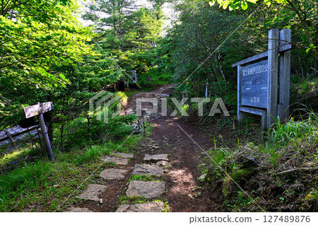 禦坂山脈：通往光峠山的登山路線 127489876