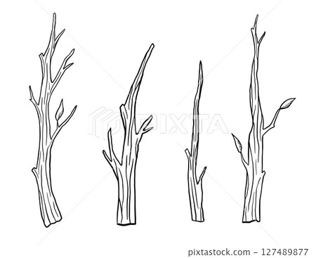 Dry tree branch sketch isolated on white background. Hand drawn illustrations set 127489877