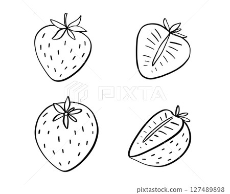 Strawberry vector doodle illustration, half of berry outline sketch, hand drawn icon of summer food 127489898