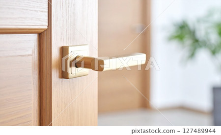 Luxurious interior door knobs 3 127489944
