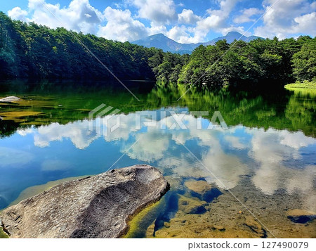 A summer swamp reflecting the sky A summer swamp reflecting the sky 127490079
