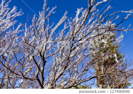 蓼科山頂的藍天和冰霜樹 127490090