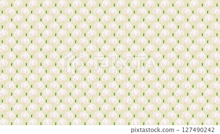 Garlic seamless background illustration 127490242
