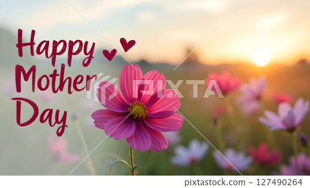 Happy Mother's Day floral card with blooming cosmos flowers at sunset backdrop 127490264