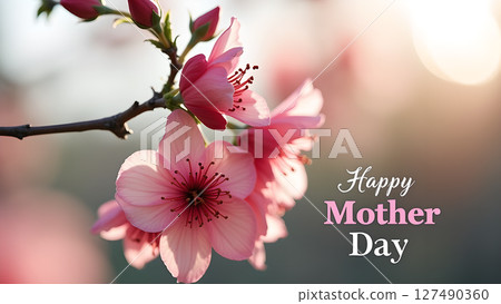Delicate pink cherry blossoms conveying the warmth and love of Mother's Day Delicate pink cherry blossoms conveying the warmth and love of Mother's Day 127490360