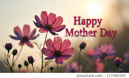 Floral Happy Mother's Day greeting card with pink cosmos in gentle sunlight 127490385
