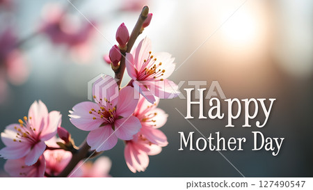 Elegant Mother's Day greeting with soft pink cherry blossoms in full bloom 127490547
