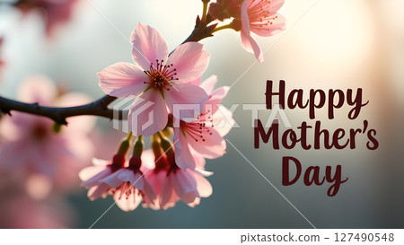Happy Mother's Day greeting with delicate pink cherry blossoms in soft light 127490548