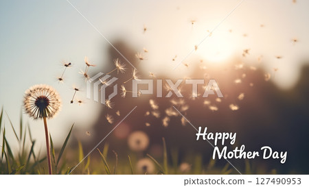 Serene Dandelion Seed Dispersal at Sunset for Mother's Day Celebration 127490953