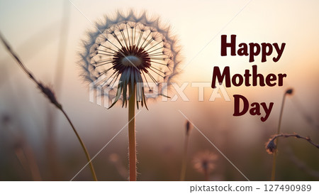 Happy Mother's Day dandelion sunset background with celebratory greeting 127490989